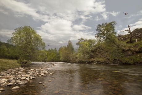 Uisge Source-speyside_ Uisge Source-speyside_